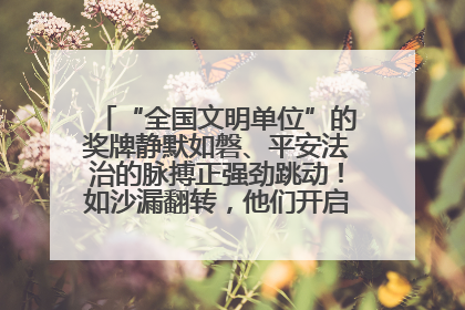 “全国文明单位”的奖牌静默如磐、平安法治的脉搏正强劲跳动！如沙漏翻转，他们开启了全新的计时